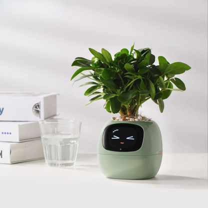 Vaso Inteligente para Plantas