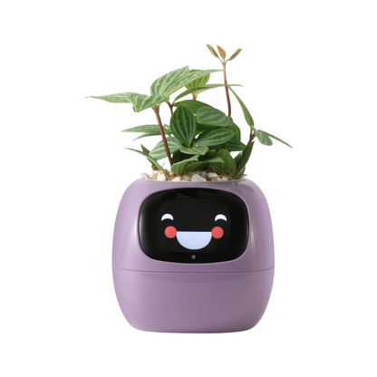 Vaso Inteligente para Plantas